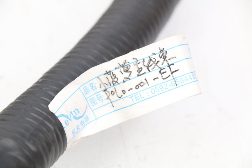 photo de WIRING HARNESS EFUN E2GO 1 (2017 - 2021) - Checked used part