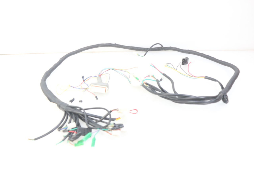 photo de WIRING HARNESS EFUN E2GO 1 (2017 - 2021) - Main view