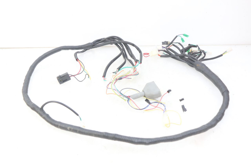photo de WIRING HARNESS EFUN E2GO 1 (2017 - 2021) - Zoom on usage condition