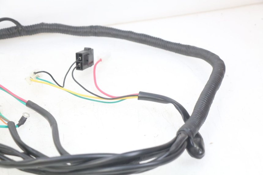 photo de WIRING HARNESS EFUN E2GO 1 (2017 - 2021) - Alternative perspective