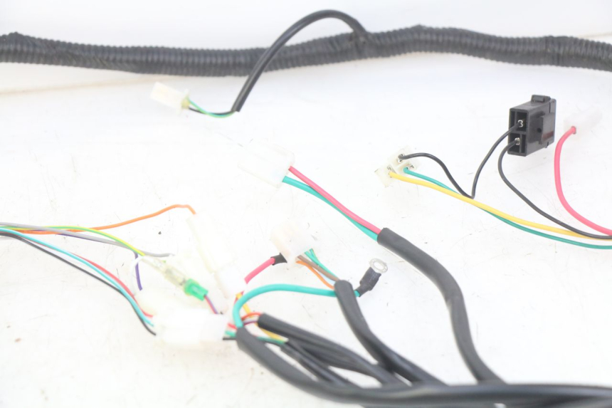 photo de WIRING HARNESS EFUN E2GO 1 (2017 - 2021) - Technical close-up