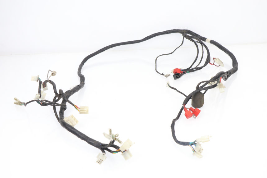 photo de WIRE HARNESS SACHS EAGLE 50 (2007 - 2010) - Main view