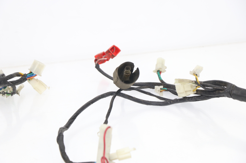 photo de WIRE HARNESS SACHS EAGLE 50 (2007 - 2010) - Zoom on usage condition