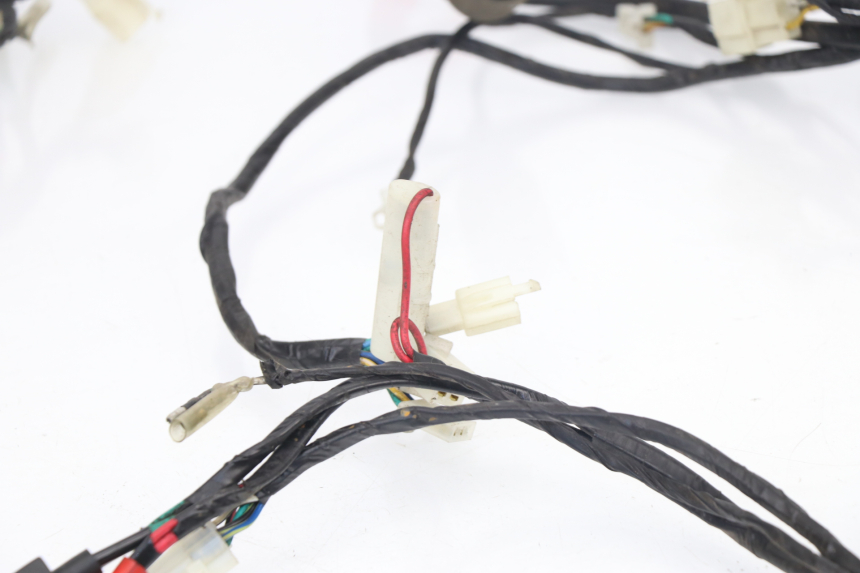 photo de WIRE HARNESS SACHS EAGLE 50 (2007 - 2010) - Alternative perspective