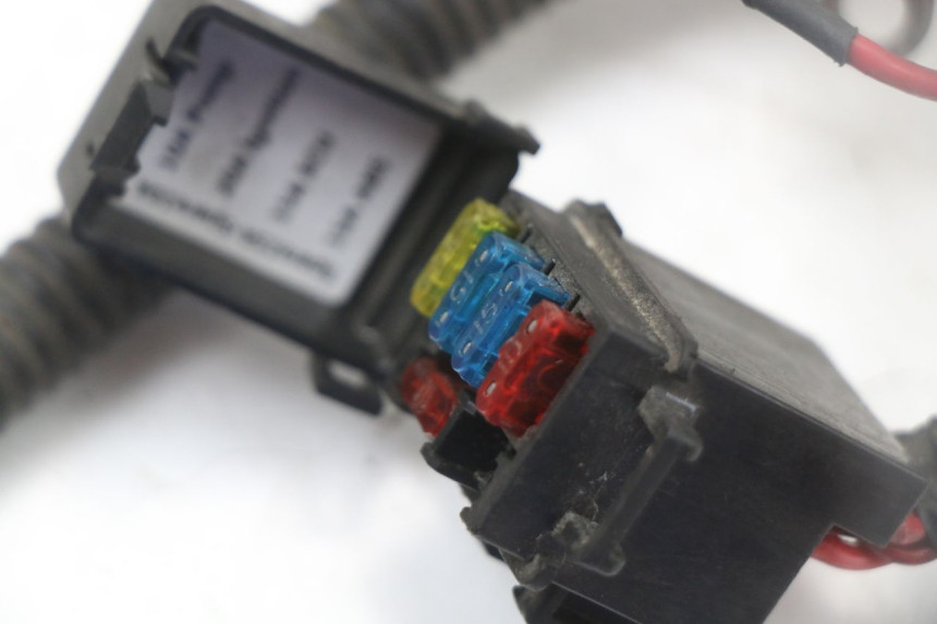 photo de WIRE HARNESS LONGJIA EASY MAX 125 (2020 - 2024) - Distinctive features