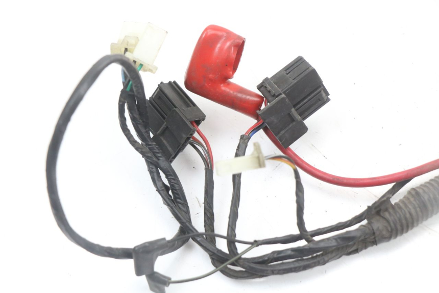 photo de WIRE HARNESS LONGJIA EASY MAX 125 (2020 - 2024) - Component zoom