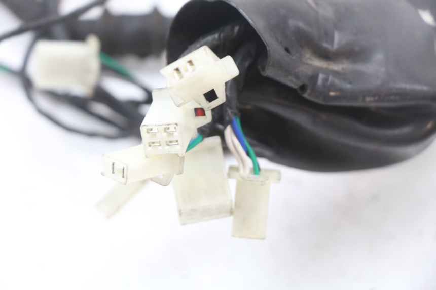 photo de WIRE HARNESS LONGJIA EASY MAX 125 (2020 - 2024) - Alternative perspective
