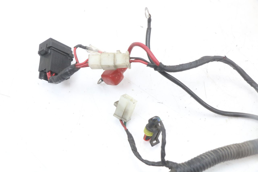 photo de WIRE HARNESS LONGJIA EASY MAX 125 (2020 - 2024) - Markings and original references