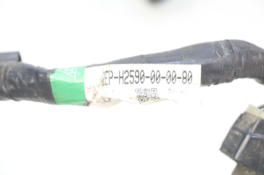 photo de WIRING HARNESS YAMAHA D'ELIGHT DELIGHT 115 (2013 - 2017) - Technical close-up
