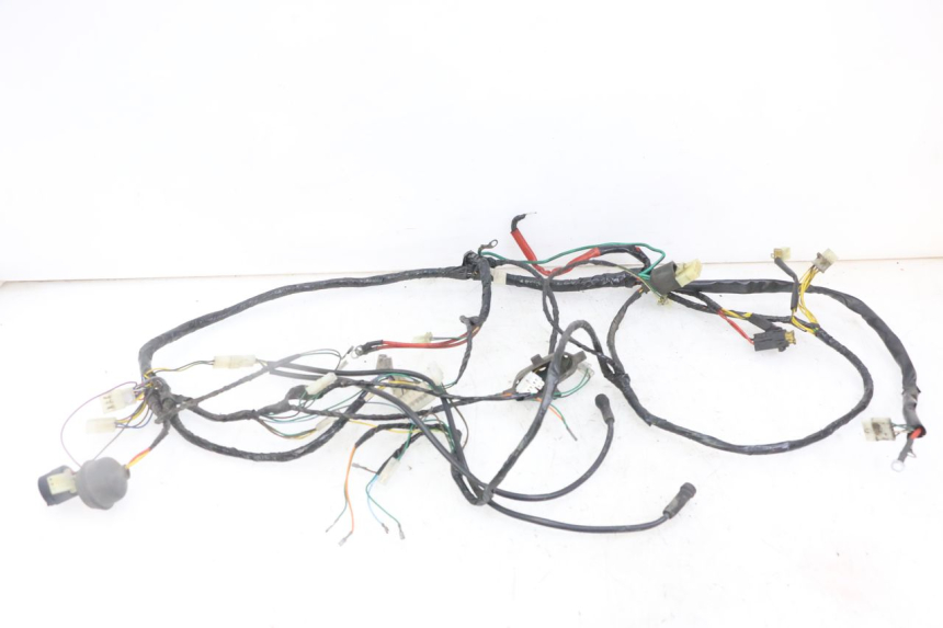 photo de WIRE HARNESS PEUGEOT ELYSEO 125 (1999 - 2004) - Main view