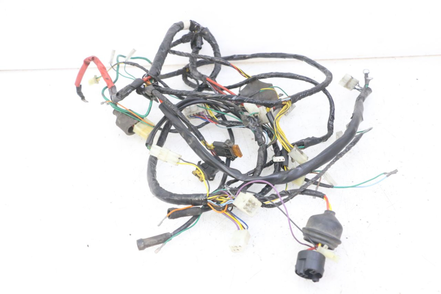 photo de WIRE HARNESS PEUGEOT ELYSEO 125 (1999 - 2004) - Component detail