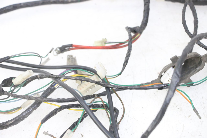 photo de WIRE HARNESS PEUGEOT ELYSEO 125 (1999 - 2004) - High-resolution close-up