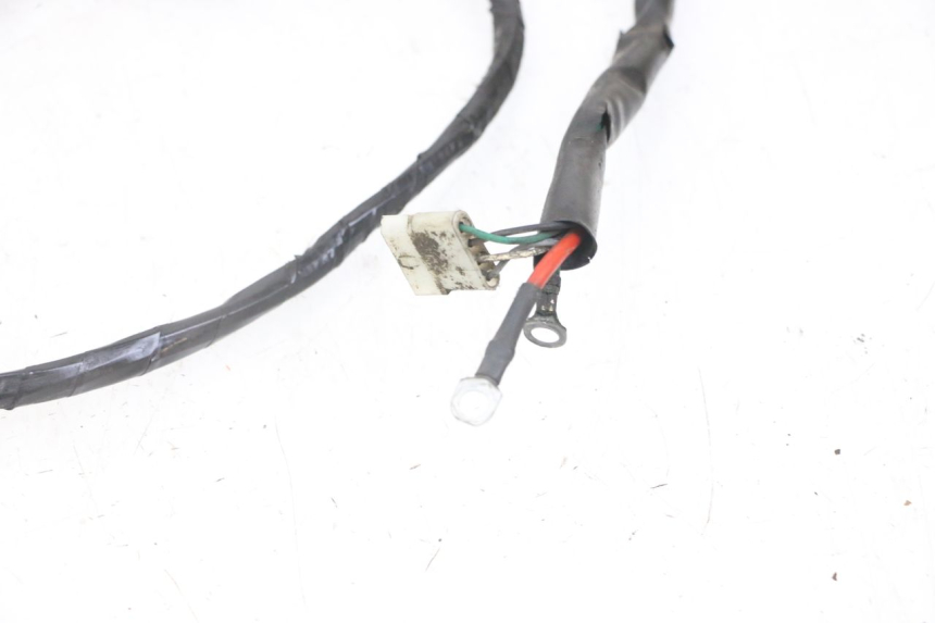 photo de WIRE HARNESS PEUGEOT ELYSEO 125 (1999 - 2004) - Detailed visual inspection