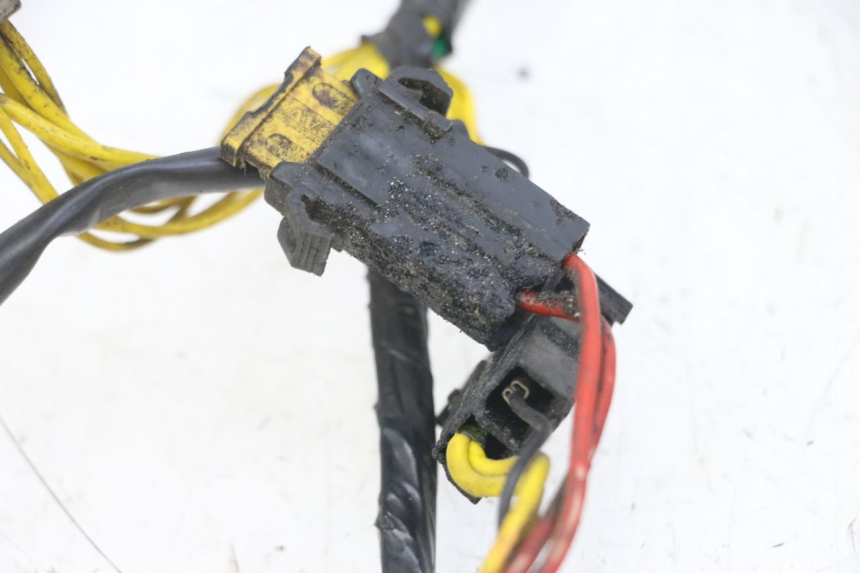 photo de WIRE HARNESS PEUGEOT ELYSEO 125 (1999 - 2004) - Zoom on usage condition