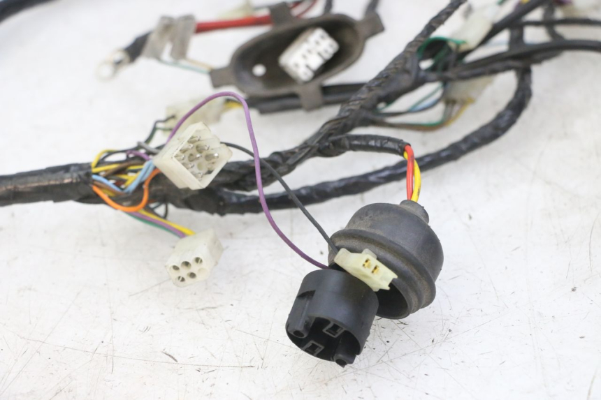 photo de WIRE HARNESS PEUGEOT ELYSEO 125 (1999 - 2004) - Markings and original references