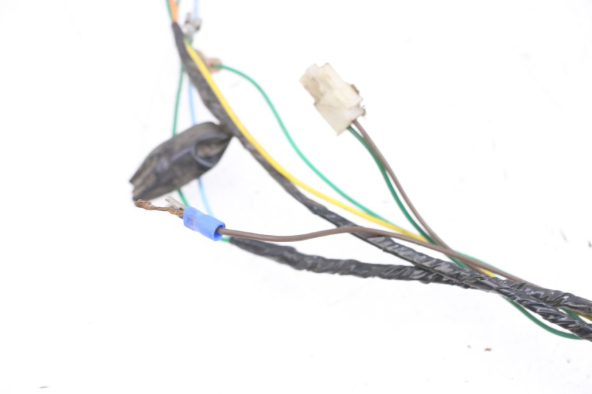 photo de WIRE HARNESS PEUGEOT ELYSEO 125 (1999 - 2004) - Additional view of the item