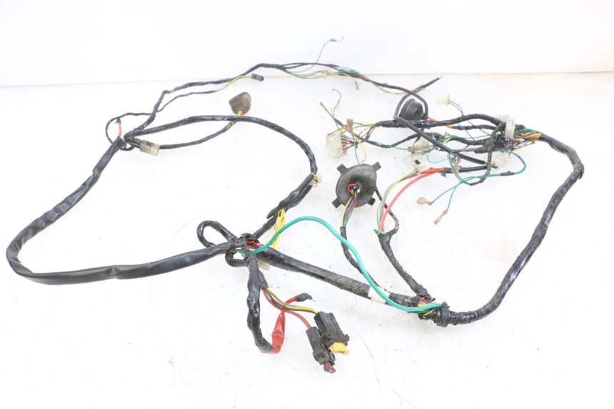 photo de WIRE HARNESS PEUGEOT ELYSEO 125 (1999 - 2004) - Zoom on usage condition