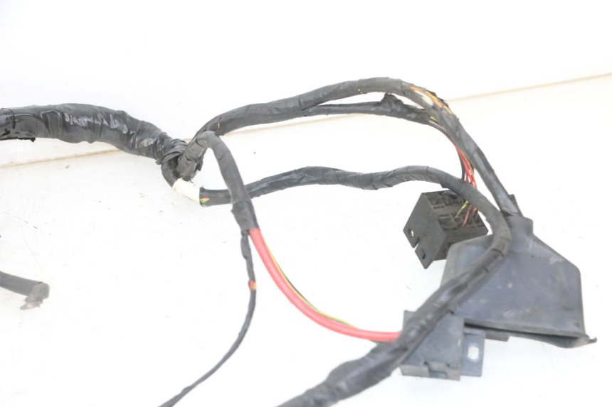 photo de WIRE HARNESS PEUGEOT ELYSTAR 125 (2002 - 2007) - Distinctive features