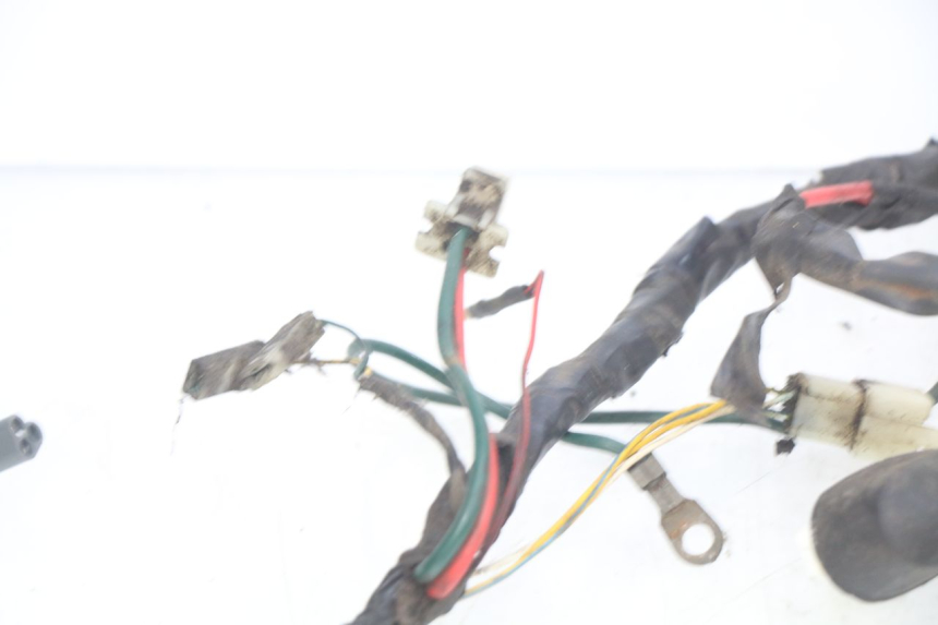 photo de WIRING HARNESS PEUGEOT ELYSTAR 50 (2002 - 2014) - Additional view of the item