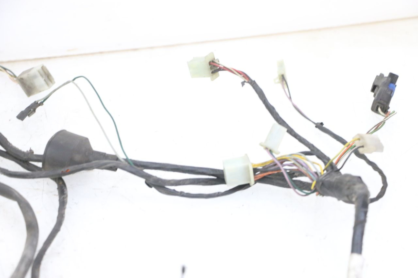 photo de WIRING HARNESS PEUGEOT ELYSTAR 50 (2002 - 2014) - Zoom on usage condition
