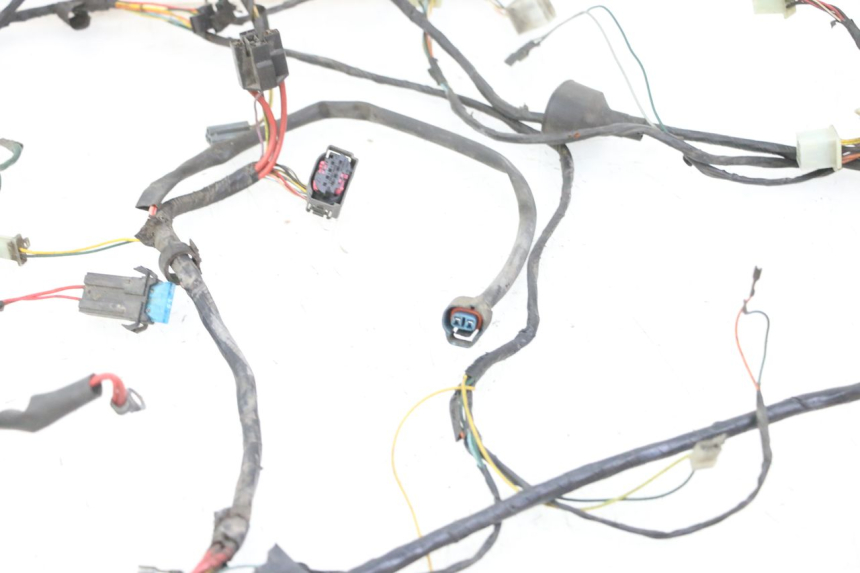 photo de WIRING HARNESS PEUGEOT ELYSTAR 50 (2002 - 2014) - Alternative perspective