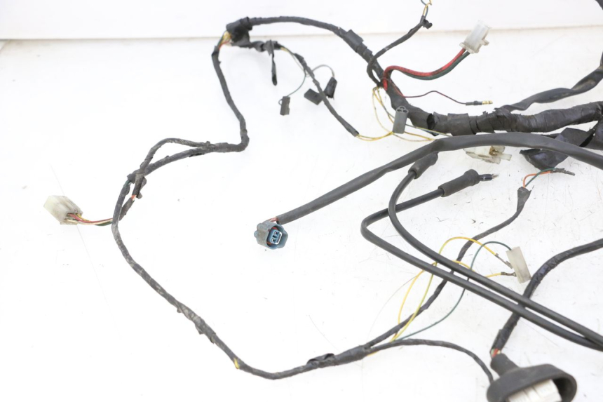 photo de WIRING HARNESS PEUGEOT ELYSTAR 50 (2002 - 2014) - Alternative perspective