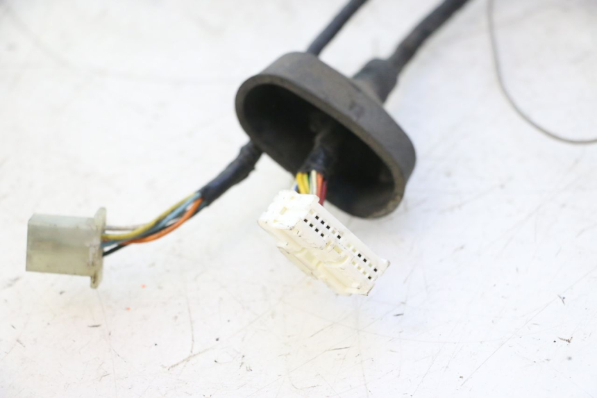photo de WIRING HARNESS PEUGEOT ELYSTAR 50 (2002 - 2014) - Alternative perspective