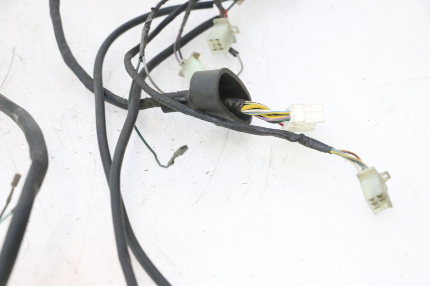 photo de WIRING HARNESS PEUGEOT ELYSTAR 50 (2002 - 2014) - Fixing points details