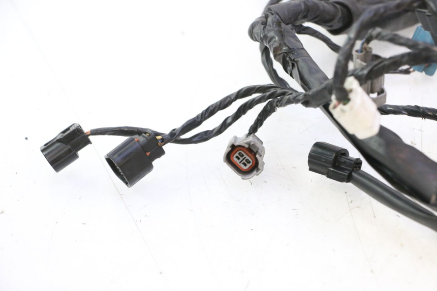 photo de WIRE HARNESS KAWASAKI ER-6 ER6 N 650 (2005 - 2009) - Product overview