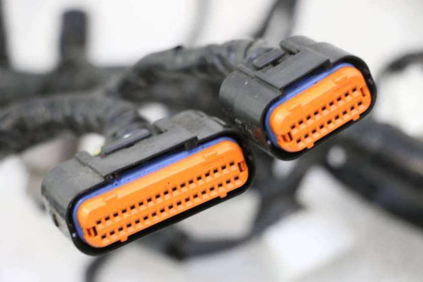 photo de WIRE HARNESS KAWASAKI ER-6 ER6 N 650 (2005 - 2009) - Product overview