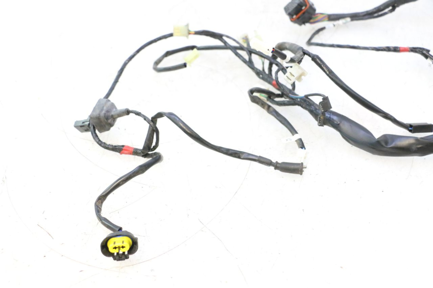 photo de WIRE HARNESS ASKOLL ESPRO 1 - Distinctive features