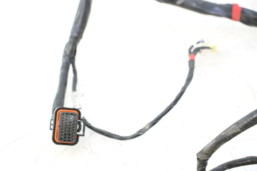 photo de WIRE HARNESS ASKOLL ESPRO 1 - High-resolution close-up