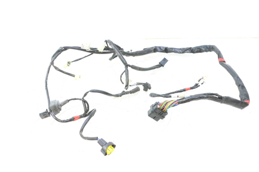 photo de WIRE HARNESS ASKOLL ESPRO 1 - Supplementary product photo