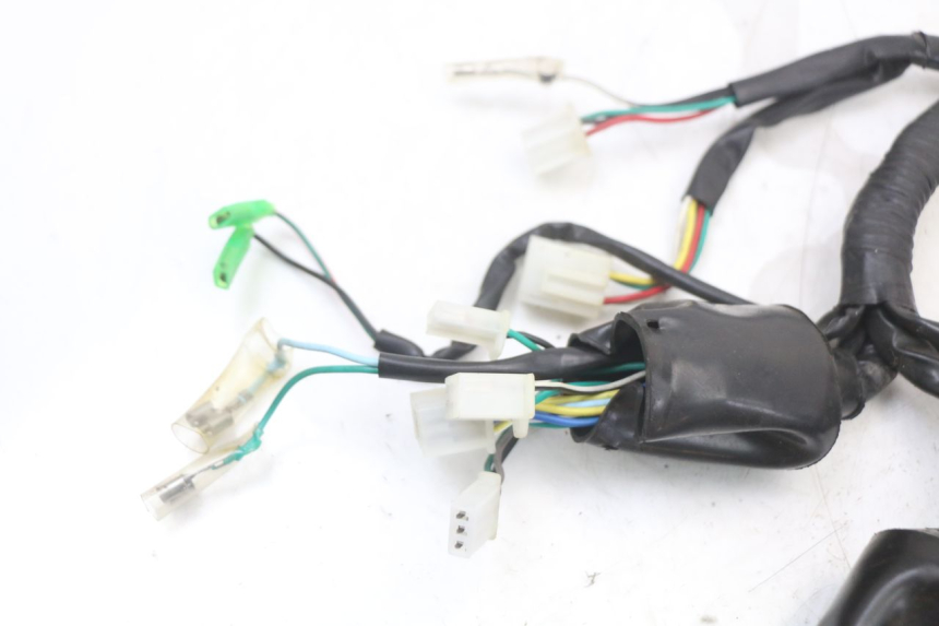photo de WIRE HARNESS EUROCKA RETRO 50 (2007 - 2014) - Component detail