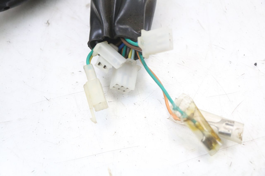 photo de WIRE HARNESS EUROCKA RETRO 50 (2007 - 2014) - Zoom on usage condition