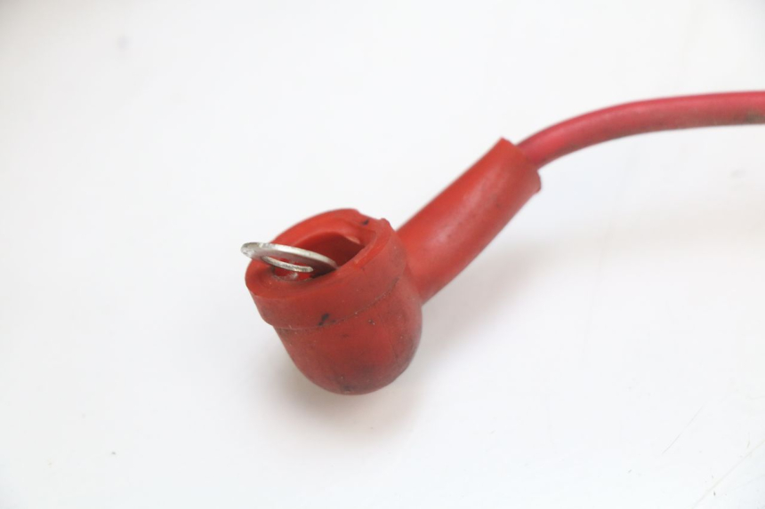 photo de WIRE HARNESS EUROCKA RETRO 50 (2007 - 2014) - Fixing points details