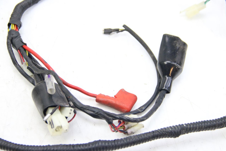 photo de WIRING HARNESS JM MOTORS EVOLIS 4T 50 (2018 - 2022) - Technical close-up
