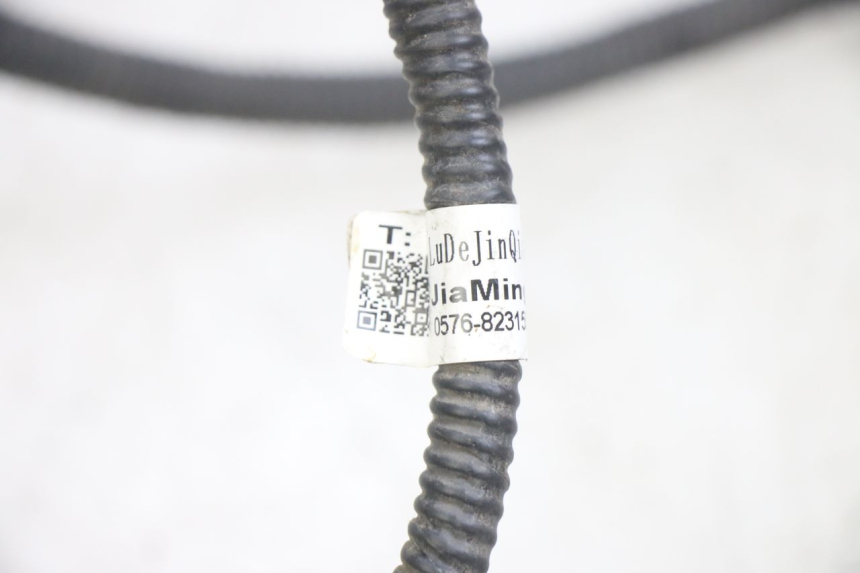 photo de WIRING HARNESS JM MOTORS EVOLIS 4T 50 (2018 - 2022) - Zoom on usage condition