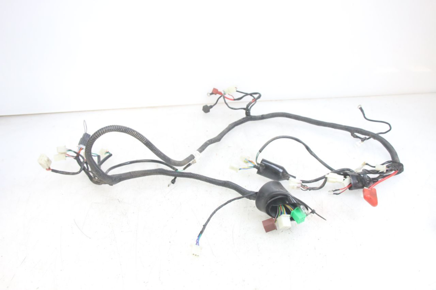 photo de WIRING HARNESS JM MOTORS EVOLIS 4T 50 (2018 - 2022) - Technical close-up