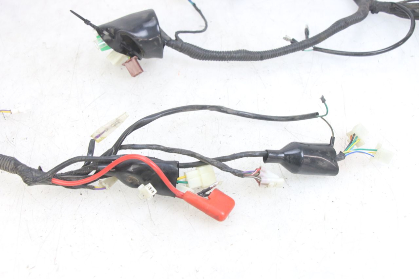 photo de WIRING HARNESS JM MOTORS EVOLIS 4T 50 (2018 - 2022) - Fixing points details