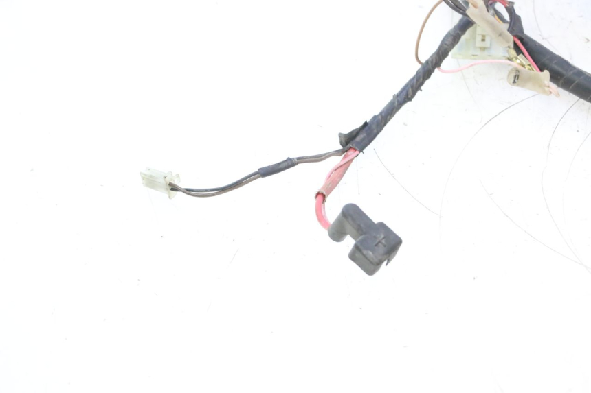 photo de WIRE HARNESS MBK EVOLIS 80 (1993 - 1999) - High-resolution close-up