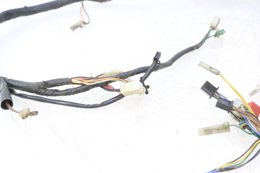 photo de WIRE HARNESS MBK EVOLIS 80 (1993 - 1999) - Fixing points details