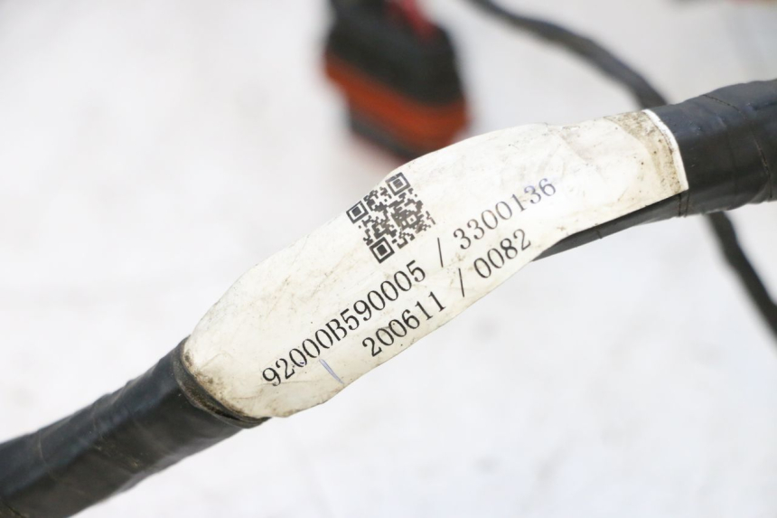photo de WIRE HARNESS KEEWAY F-ACT FACT EVO 50 (2020 - 2026) - Component detail
