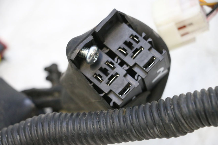 photo de WIRE HARNESS KEEWAY F-ACT FACT EVO 50 (2020 - 2026) - Additional view of the item