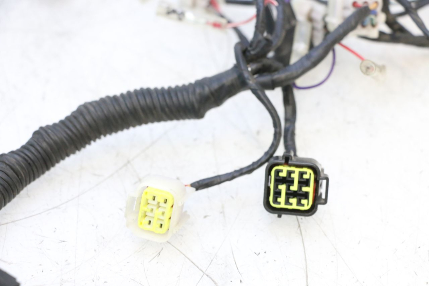 photo de WIRE HARNESS KEEWAY F-ACT FACT EVO 50 (2020 - 2026) - Distinctive features