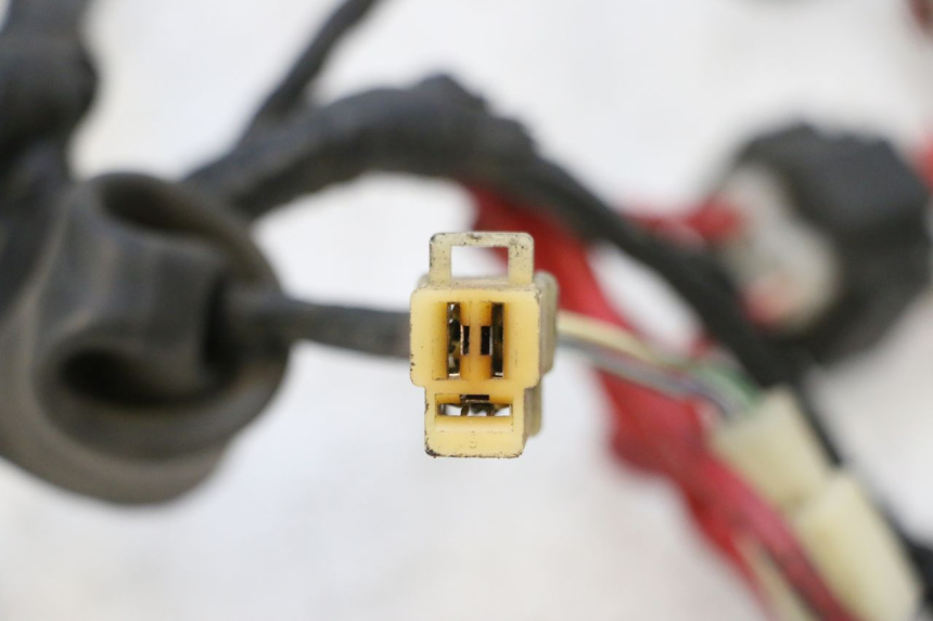 photo de WIRE HARNESS KEEWAY F-ACT FACT EVO 50 (2020 - 2026) - Alternative perspective