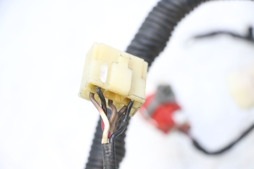 photo de WIRE HARNESS KEEWAY F-ACT FACT EVO 50 (2020 - 2026) - Markings and original references