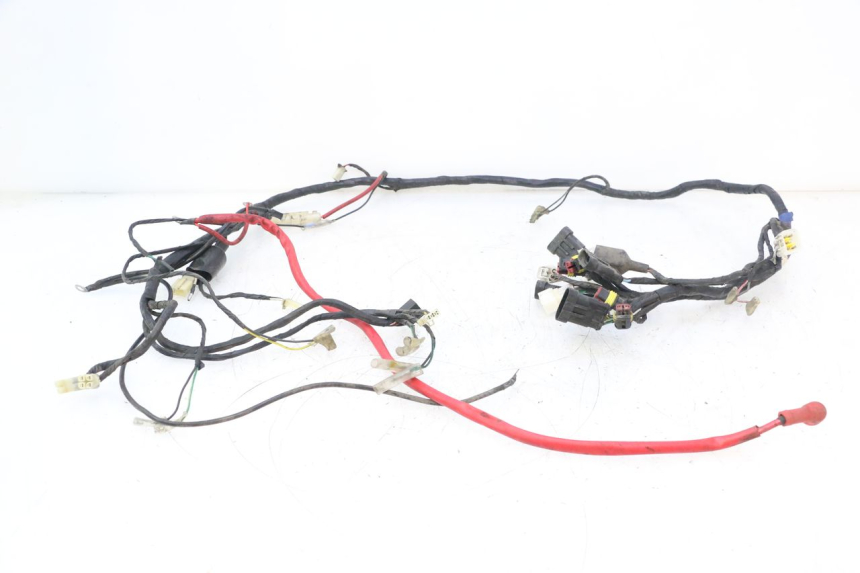 photo de WIRE HARNESS KEEWAY F-ACT NAKED 50 (2009 - 2014) - Main view