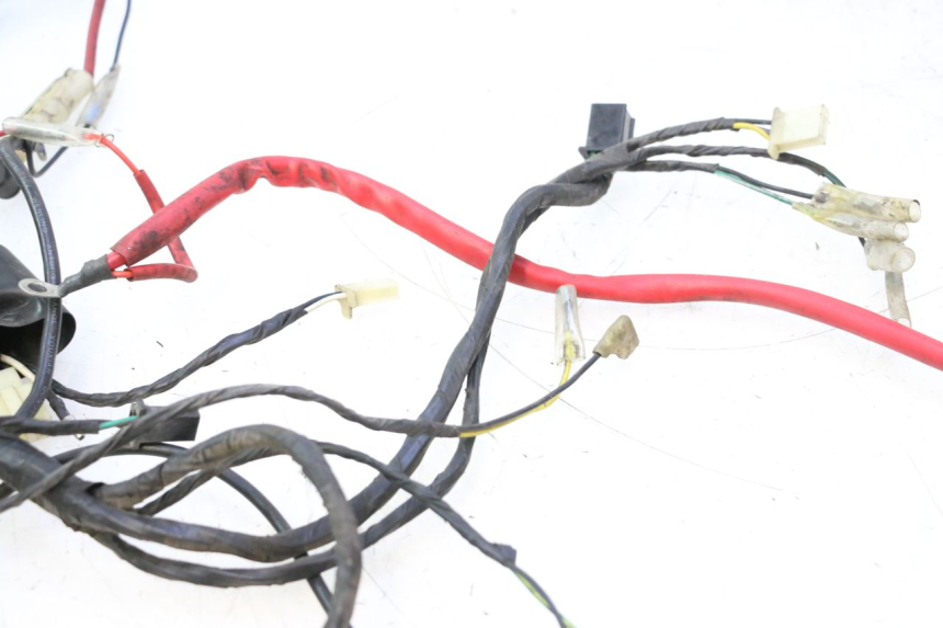 photo de WIRE HARNESS KEEWAY F-ACT NAKED 50 (2009 - 2014) - Alternative perspective