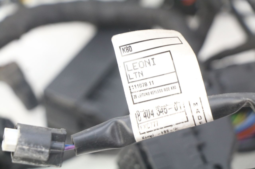 photo de WIRE HARNESS BMW F GS K81 850 (2018 - 2023) - Component detail